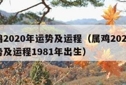 属鸡2020年运势及运程（属鸡2025年运势及运程1981年出生）