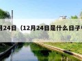 12月24日（12月24日是什么日子中国）