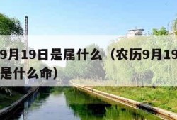 农历9月19日是属什么（农历9月19日出生的是什么命）