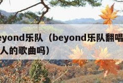 beyond乐队（beyond乐队翻唱过别人的歌曲吗）