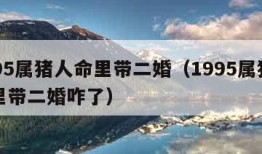 1995属猪人命里带二婚（1995属猪人命里带二婚咋了）