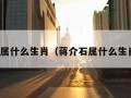 蒋介石属什么生肖（蒋介石属什么生肖动物）