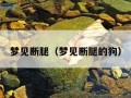 梦见断腿（梦见断腿的狗）