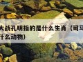 司马懿大战孔明指的是什么生肖（司马懿大战孔明指什么动物）