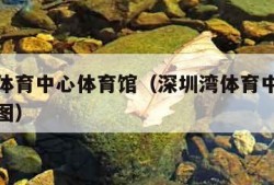 深圳湾体育中心体育馆（深圳湾体育中心体育馆座位图）