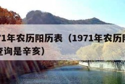 1971年农历阳历表（1971年农历阳历表查询是辛亥）