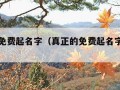 真正的免费起名字（真正的免费起名字的软件）