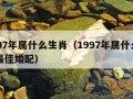 1997年属什么生肖（1997年属什么生肖最佳婚配）