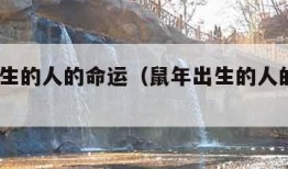 鼠年出生的人的命运（鼠年出生的人的命运84年）