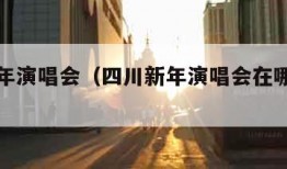 四川新年演唱会（四川新年演唱会在哪里举行）