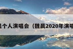 魏晨个人演唱会（魏晨2020年演唱会）