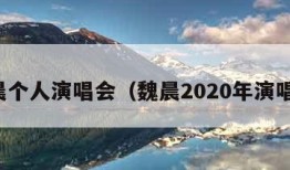 魏晨个人演唱会（魏晨2020年演唱会）