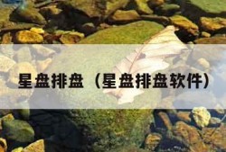 星盘排盘（星盘排盘软件）