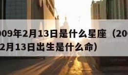 2009年2月13日是什么星座（2009年2月13日出生是什么命）