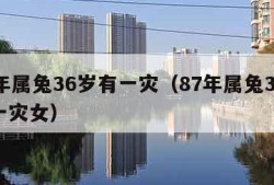 87年属兔36岁有一灾（87年属兔36岁有一灾女）