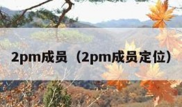 2pm成员（2pm成员定位）