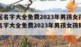 小孩起名字大全免费2023年男孩女孩（小孩起名字大全免费2023年男孩女孩锦字开头）