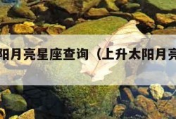 上升太阳月亮星座查询（上升太阳月亮星座查询表）