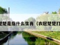 衣冠楚楚是指什么生肖（衣冠楚楚打一肖）