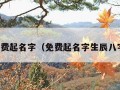 免费起名字（免费起名字生辰八字）