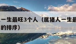 属猪人一生最旺3个人（属猪人一生最旺3个人属相的排序）