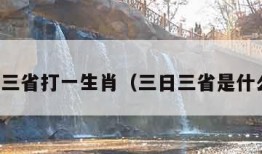 三日三省打一生肖（三日三省是什么字）