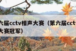 第六届cctv相声大赛（第六届cctv相声大赛冠军）