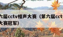 第六届cctv相声大赛（第六届cctv相声大赛冠军）