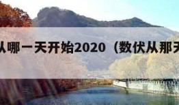 数伏从哪一天开始2020（数伏从那天开始）