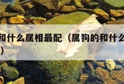 属狗的和什么属相最配（属狗的和什么属相最配,相冲）