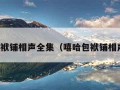 嘻哈包袱铺相声全集（嘻哈包袱铺相声专场）