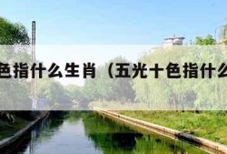 五光十色指什么生肖（五光十色指什么生肖数字）