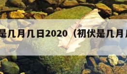 初伏是几月几日2020（初伏是几月几日2021）