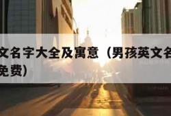 男孩英文名字大全及寓意（男孩英文名字大全及寓意免费）