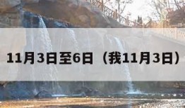 11月3日至6日（我11月3日）