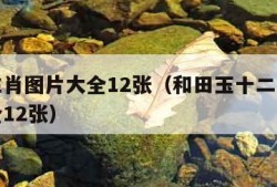 十二生肖图片大全12张（和田玉十二生肖图片大全12张）