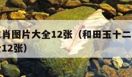 十二生肖图片大全12张（和田玉十二生肖图片大全12张）