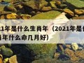 2021年是什么生肖年（2021年是什么生肖年什么命几月好）