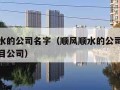 顺风顺水的公司名字（顺风顺水的公司名字新能源项目公司）