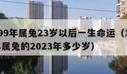 1999年属兔23岁以后一生命运（1999年属兔的2023年多少岁）