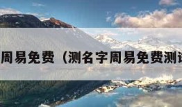 测名字周易免费（测名字周易免费测试公司）