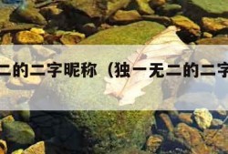 独一无二的二字昵称（独一无二的二字昵称女霸气）