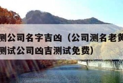 老黄历测公司名字吉凶（公司测名老黄历网店名凶吉测试公司凶吉测试免费）