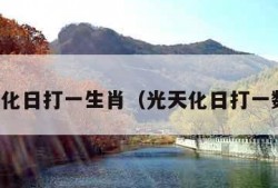 光天化日打一生肖（光天化日打一数字）