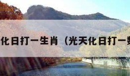 光天化日打一生肖（光天化日打一数字）