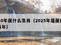 2010年属什么生肖（2025年是属什么生肖年）