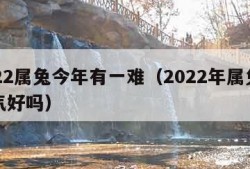 2022属兔今年有一难（2022年属兔的运气好吗）