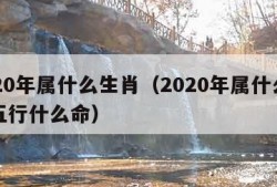 2020年属什么生肖（2020年属什么生肖五行什么命）