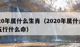 2020年属什么生肖（2020年属什么生肖五行什么命）