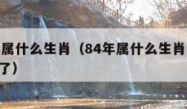 84年属什么生肖（84年属什么生肖 今年多大了）